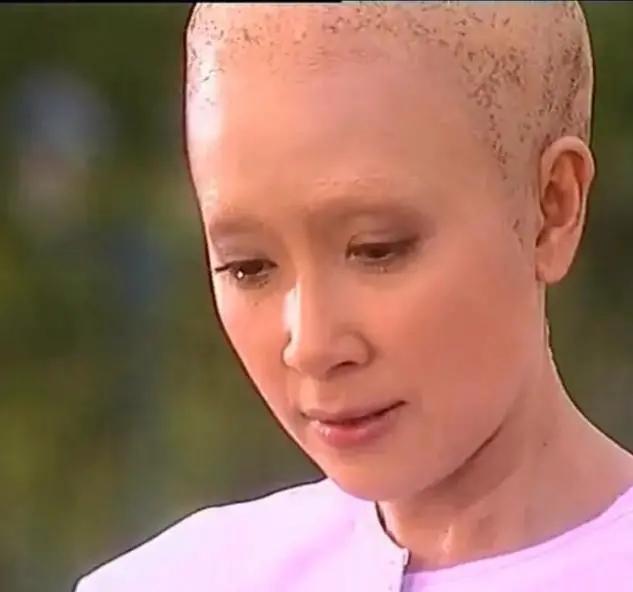 泰剧_经典泰剧推荐_狗血泰剧推荐